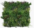 City 2 - 12 planten