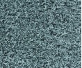 Shaggy 35