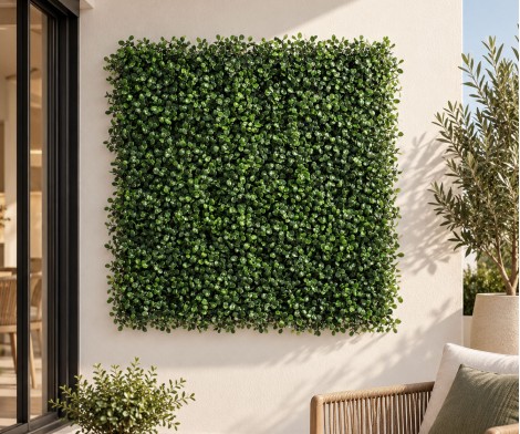 Buxus