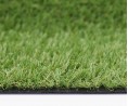 Park 20 mm - with cutting