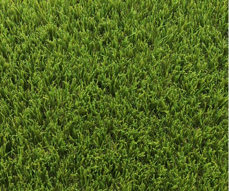 Park 40 mm - with cutting