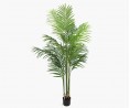 Waterval Palm