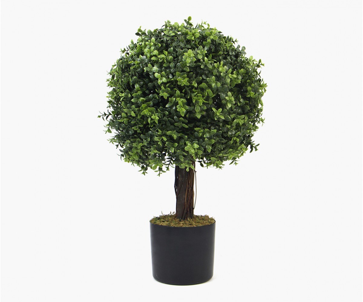 foto Zonnebrand Bloeien Artificial plant - Topiaire buis