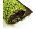 Mousse soleirole