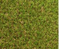 Stadium 30 mm - à la découpe