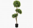 Waterval Palm
