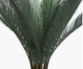 Waterfall palm