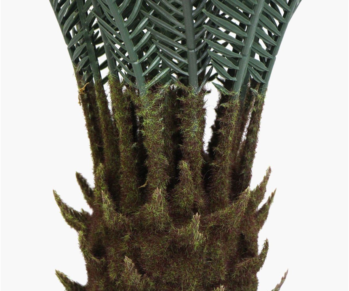 Artificial plant - Cycas of Japan