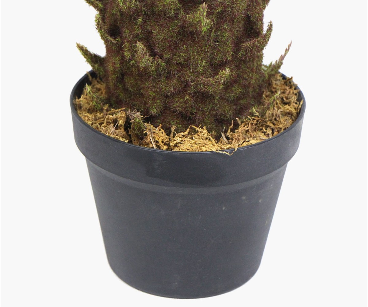 シァルプランツ Artificial plant - Cycas of Japan