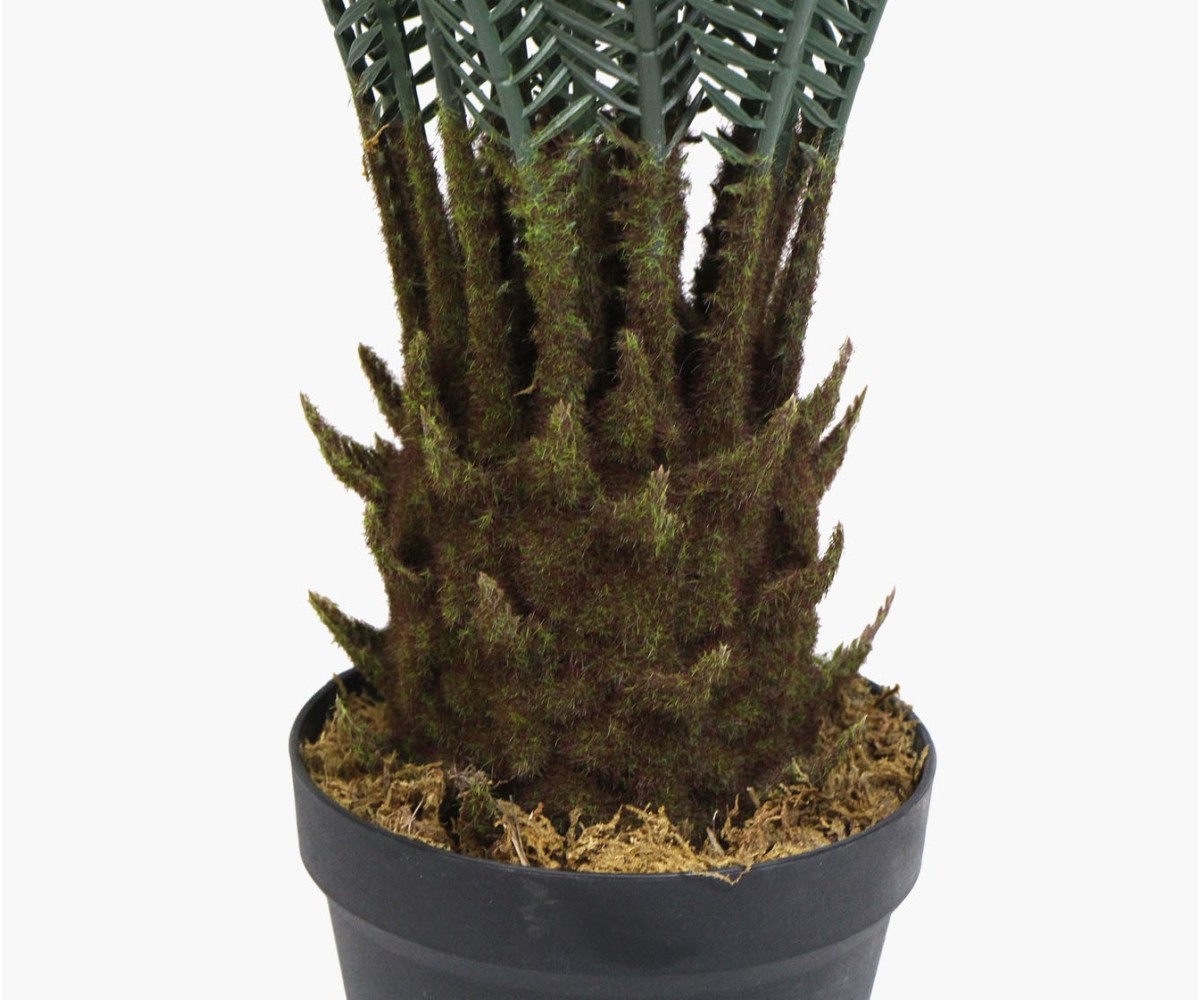 シァルプランツ Artificial plant - Cycas of Japan