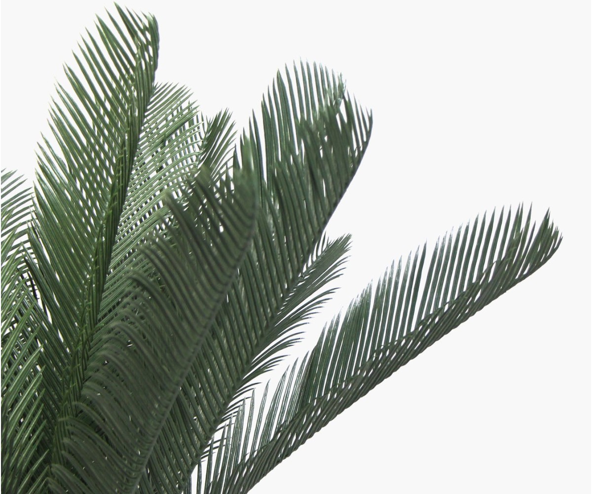Artificial plant - Cycas of Japan