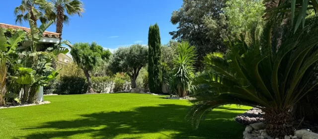 Quel gazon synthétique pour jardin ?