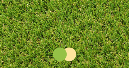 choisir un gazon synthetique vert beige