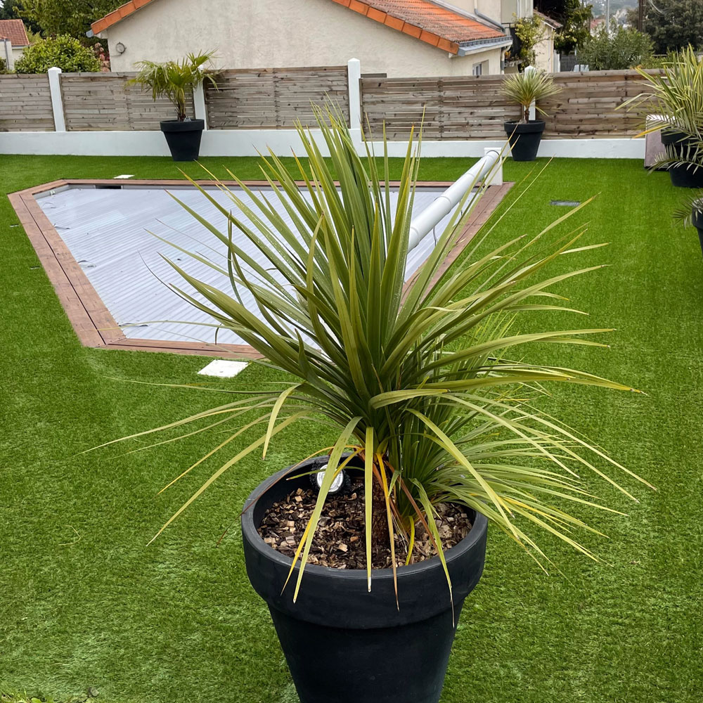 Garden and pool with artificial grass