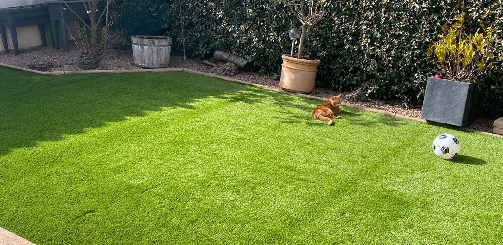 Gazon artificiel dans un jardin