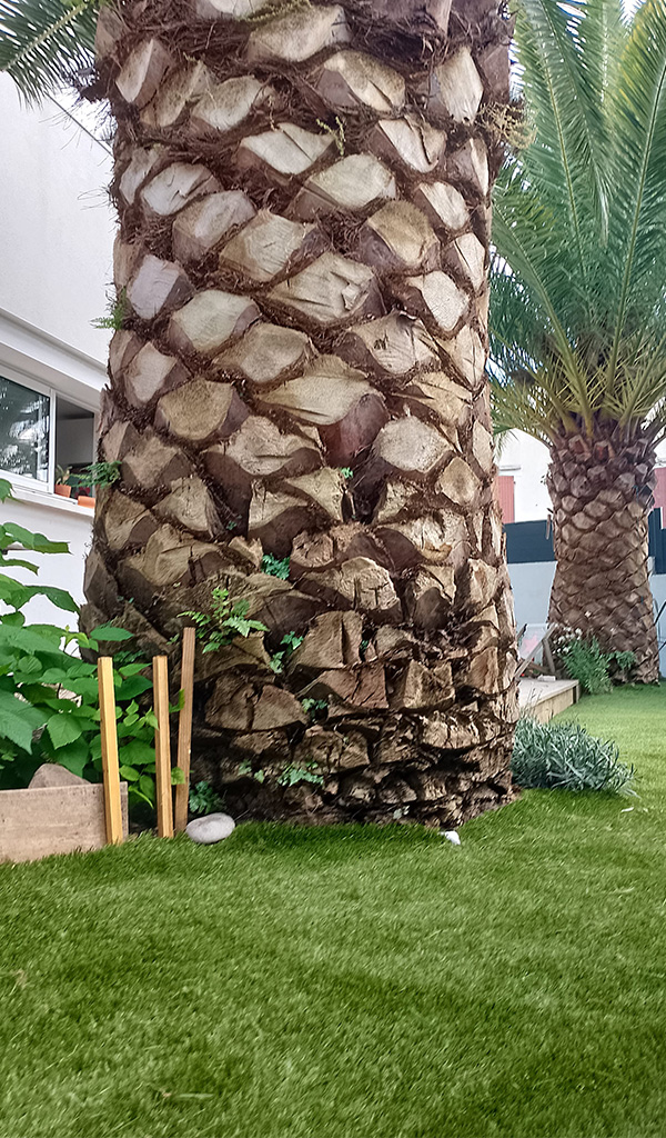 Artificial grass on a big garden