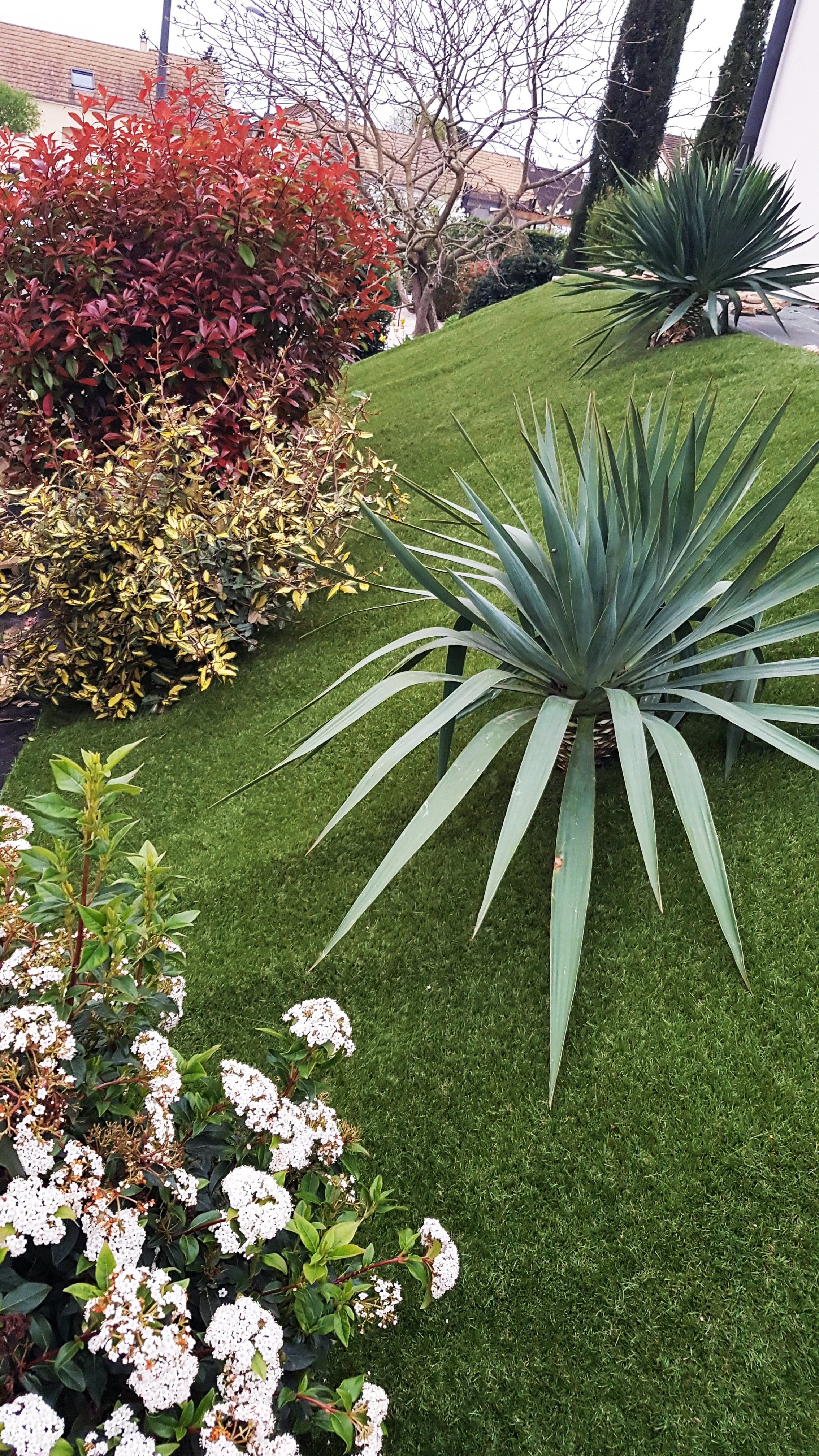 Gazon synthétique avec des plantes