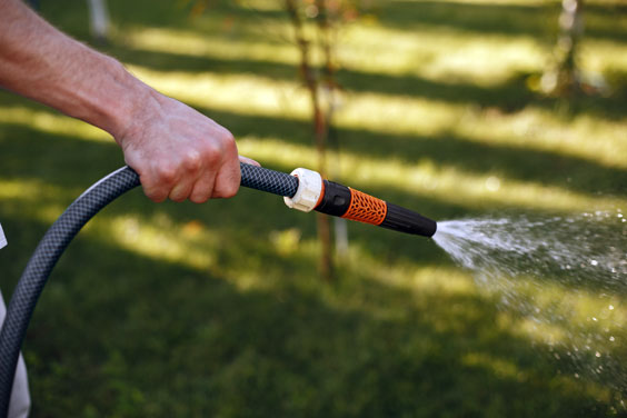 Arrosage jardin